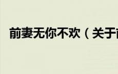 前妻无你不欢（关于前妻无你不欢的介绍）