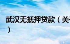 武汉无抵押贷款（关于武汉无抵押贷款的介绍）