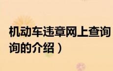 机动车违章网上查询（关于机动车违章网上查询的介绍）