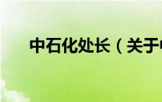 中石化处长（关于中石化处长的介绍）