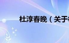 杜淳春晚（关于杜淳春晚的介绍）