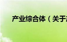 产业综合体（关于产业综合体的介绍）
