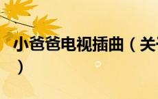 小爸爸电视插曲（关于小爸爸电视插曲的介绍）