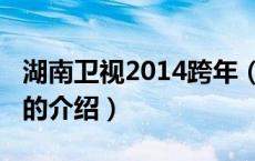 湖南卫视2014跨年（关于湖南卫视2014跨年的介绍）