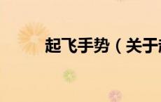 起飞手势（关于起飞手势的介绍）