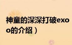 神童的深深打破exo（关于神童的深深打破exo的介绍）