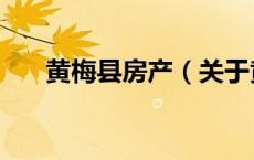 黄梅县房产（关于黄梅县房产的介绍）