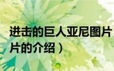 进击的巨人亚尼图片（关于进击的巨人亚尼图片的介绍）