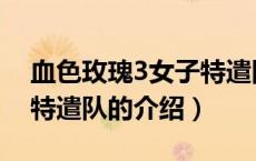 血色玫瑰3女子特遣队（关于血色玫瑰3女子特遣队的介绍）