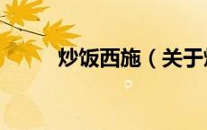 炒饭西施（关于炒饭西施的介绍）