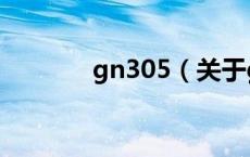 gn305（关于gn305的介绍）
