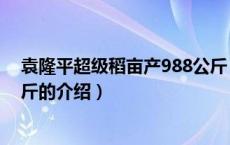 袁隆平超级稻亩产988公斤（关于袁隆平超级稻亩产988公斤的介绍）