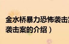 金水桥暴力恐怖袭击案（关于金水桥暴力恐怖袭击案的介绍）