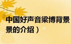 中国好声音梁博背景（关于中国好声音梁博背景的介绍）