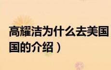 高耀洁为什么去美国（关于高耀洁为什么去美国的介绍）