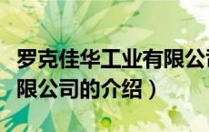 罗克佳华工业有限公司（关于罗克佳华工业有限公司的介绍）