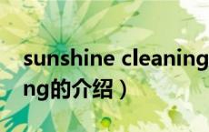 sunshine cleaning（关于sunshine cleaning的介绍）