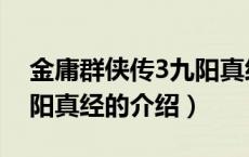 金庸群侠传3九阳真经（关于金庸群侠传3九阳真经的介绍）
