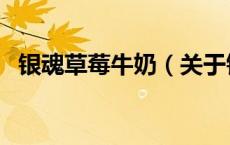 银魂草莓牛奶（关于银魂草莓牛奶的介绍）