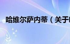 哈维尔萨内蒂（关于哈维尔萨内蒂的介绍）
