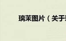 璃茉图片（关于璃茉图片的介绍）