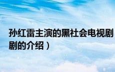 孙红雷主演的黑社会电视剧（关于孙红雷主演的黑社会电视剧的介绍）
