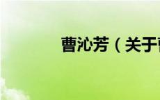 曹沁芳（关于曹沁芳的介绍）