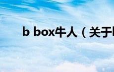 b box牛人（关于b box牛人的介绍）