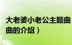 大老婆小老公主题曲（关于大老婆小老公主题曲的介绍）