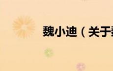 魏小迪（关于魏小迪的介绍）