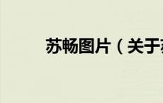 苏畅图片（关于苏畅图片的介绍）