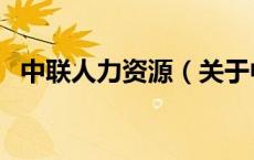 中联人力资源（关于中联人力资源的介绍）