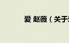 爱 赵薇（关于爱 赵薇的介绍）