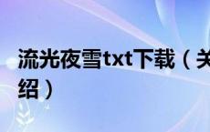 流光夜雪txt下载（关于流光夜雪txt下载的介绍）