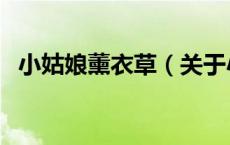 小姑娘薰衣草（关于小姑娘薰衣草的介绍）