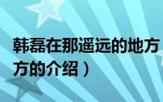 韩磊在那遥远的地方（关于韩磊在那遥远的地方的介绍）