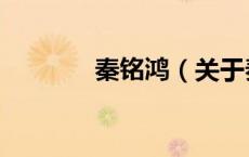 秦铭鸿（关于秦铭鸿的介绍）