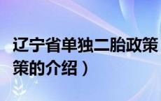 辽宁省单独二胎政策（关于辽宁省单独二胎政策的介绍）