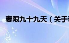 妻限九十九天（关于妻限九十九天的介绍）