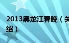 2013黑龙江春晚（关于2013黑龙江春晚的介绍）