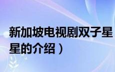 新加坡电视剧双子星（关于新加坡电视剧双子星的介绍）