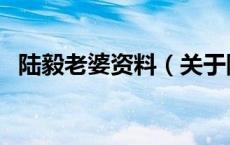 陆毅老婆资料（关于陆毅老婆资料的介绍）