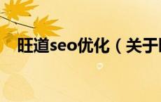 旺道seo优化（关于旺道seo优化的介绍）