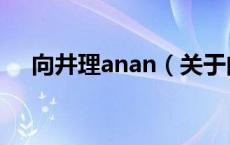 向井理anan（关于向井理anan的介绍）