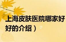 上海皮肤医院哪家好（关于上海皮肤医院哪家好的介绍）