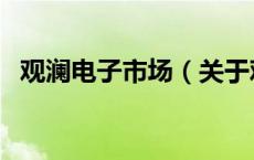 观澜电子市场（关于观澜电子市场的介绍）