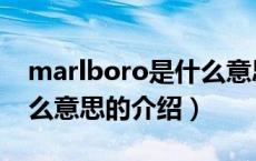 marlboro是什么意思（关于marlboro是什么意思的介绍）