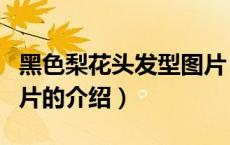 黑色梨花头发型图片（关于黑色梨花头发型图片的介绍）