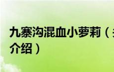 九寨沟混血小萝莉（关于九寨沟混血小萝莉的介绍）