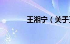 王湘宁（关于王湘宁的介绍）